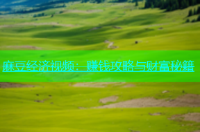 麻豆经济视频：赚钱攻略与财富秘籍