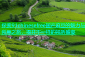 探索91chinesefree国产麻豆的魅力与创意之旅，揭开不一样的视听盛宴