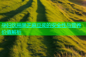 孕妇饮用黑芝麻豆浆的安全性与营养价值解析
