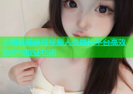 上海抓捕麻豆视频人员揭秘平台高效监控与取证功能