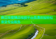 麻豆按摩精品视频平台高清体验轻松享受专业服务