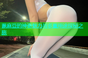蓖麻豆的神奇魅力与多重用途探秘之旅