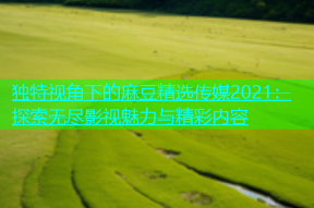 独特视角下的麻豆精选传媒2021：探索无尽影视魅力与精彩内容