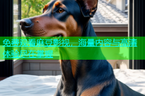 免费观看麻豆影视，海量内容与高清体验尽在掌握