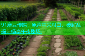 91麻豆传媒：原声中文对白，破解乱码，畅享午夜剧场.
