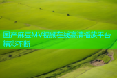 国产麻豆MV视频在线高清播放平台精彩不断