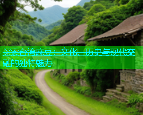 探索台湾麻豆：文化、历史与现代交融的独特魅力  第1张