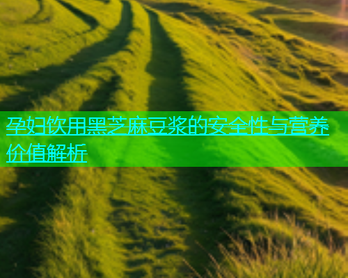 孕妇饮用黑芝麻豆浆的安全性与营养价值解析  第1张