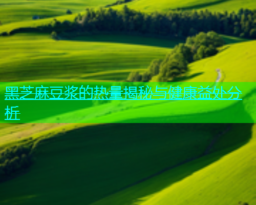 黑芝麻豆浆的热量揭秘与健康益处分析  第1张
