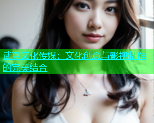武豆文化传媒：文化创意与影视制作的完美结合  第1张
