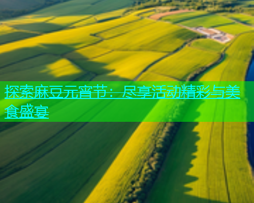 探索麻豆元宵节：尽享活动精彩与美食盛宴  第1张