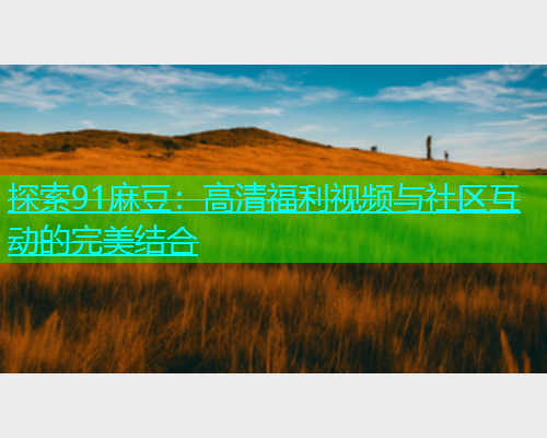 探索91麻豆：高清福利视频与社区互动的完美结合  第1张