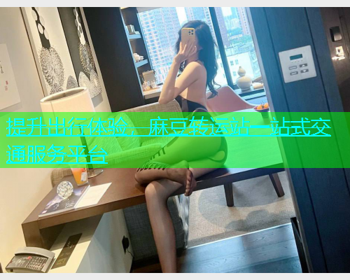 提升出行体验，麻豆转运站一站式交通服务平台  第1张