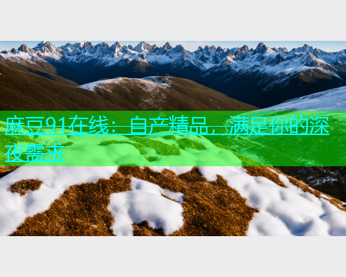 麻豆91在线：自产精品，满足你的深夜需求  第1张