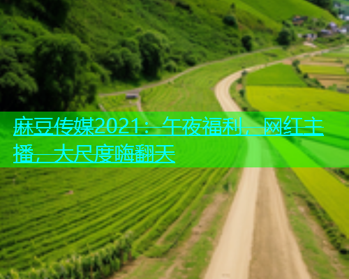 麻豆传媒2021：午夜福利，网红主播，大尺度嗨翻天  第1张