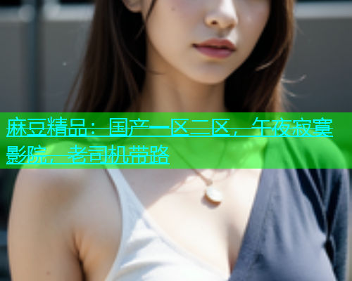 麻豆精品：国产一区二区，午夜寂寞影院，老司机带路  第1张