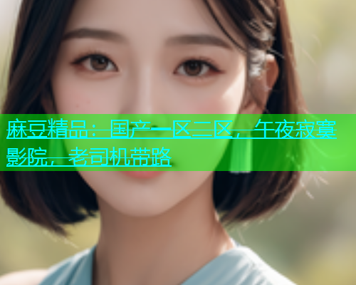 麻豆精品：国产一区二区，午夜寂寞影院，老司机带路  第2张