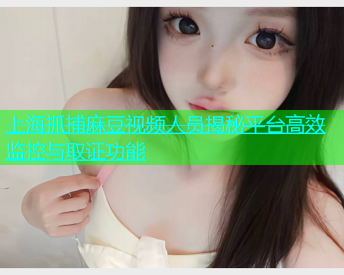 上海抓捕麻豆视频人员揭秘平台高效监控与取证功能  第1张