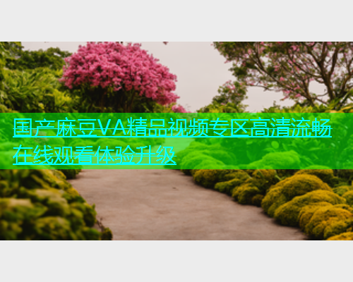 国产麻豆VA精品视频专区高清流畅在线观看体验升级  第1张