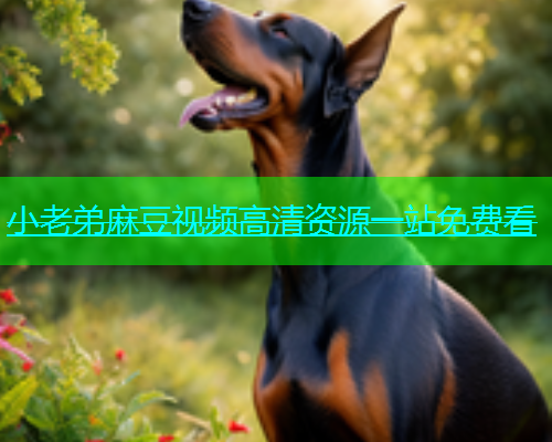小老弟麻豆视频高清资源一站免费看  第2张