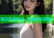 麻豆车牌识别，智能停车管理