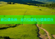 麻豆健身房：全方位健身与健康提升