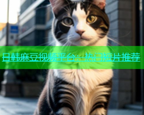日韩麻豆视频平台：热门短片推荐  第1张