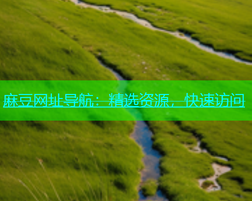麻豆网址导航：精选资源，快速访问  第1张