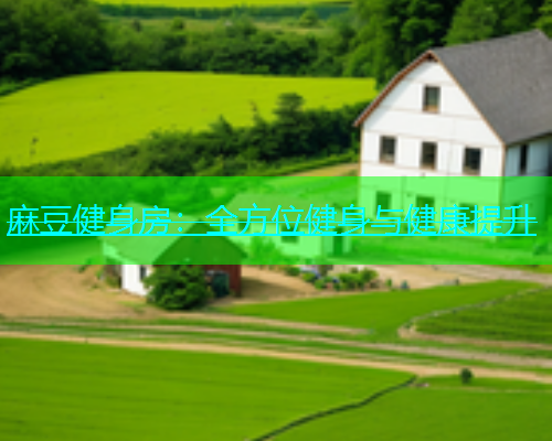 麻豆健身房：全方位健身与健康提升  第1张